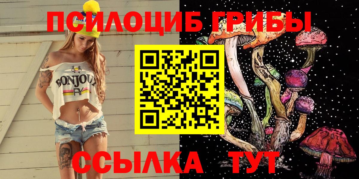 Нововоронеж  Галлюциногенные грибы Psilocybe  Вход с VPN 