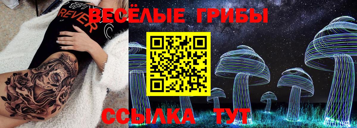 Галлюциногенные грибы прущие грибы Нововоронеж