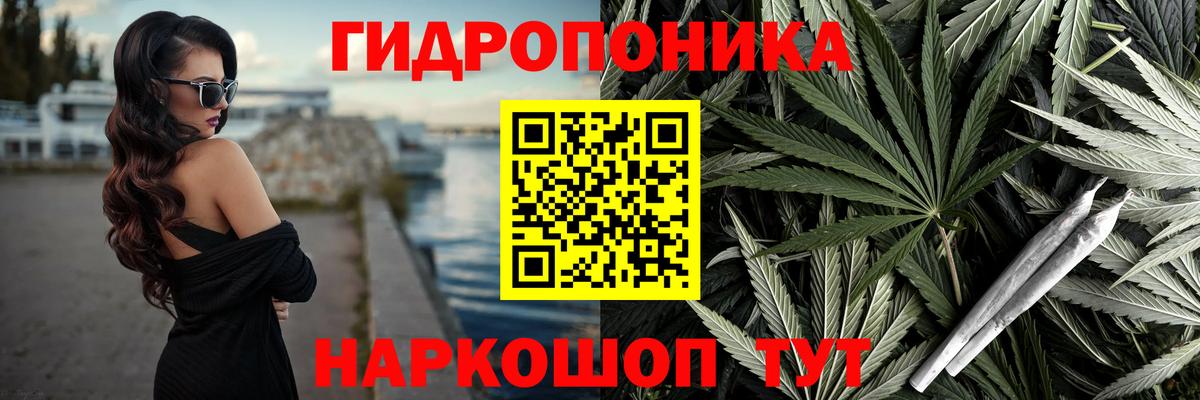 Канабис план  Шишки марихуана тримм  Вход с VPN  Нововоронеж 